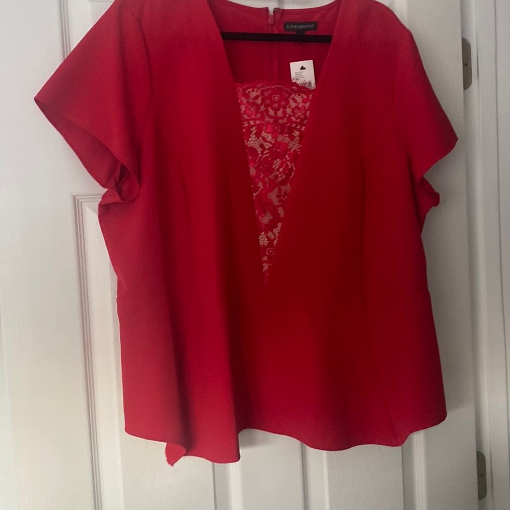 Lane Bryant size 20 top